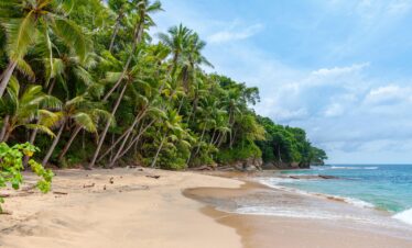 Sea Beach